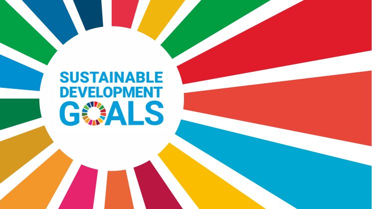 united-nations-international-year-basic-sciences